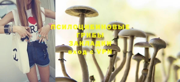 прущий лед Покровск