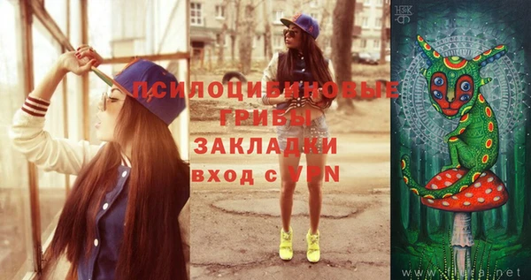 дживик Горнозаводск