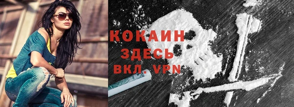 дживик Горнозаводск