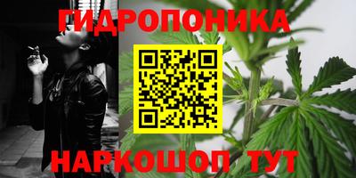 крисы Конаково