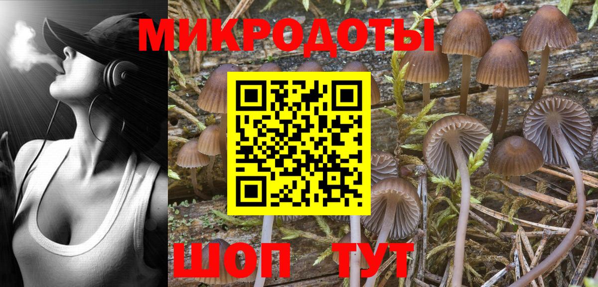 Псилоцибиновые грибы GOLDEN TEACHER Междуреченск